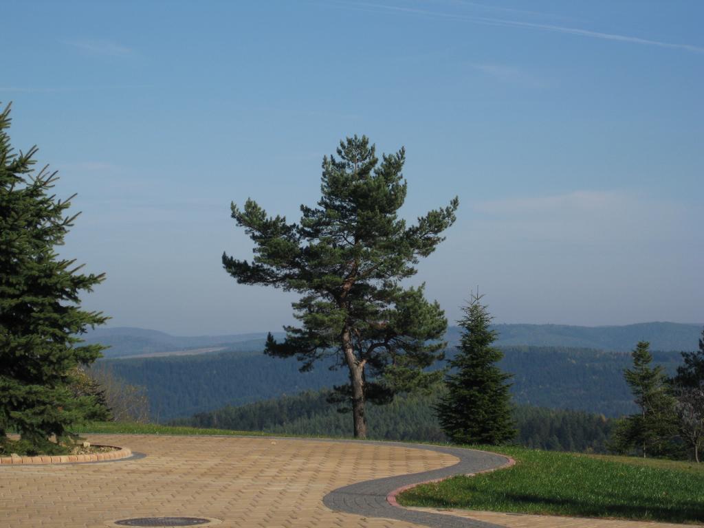 Pensjonat Orle Krynica Exterior foto